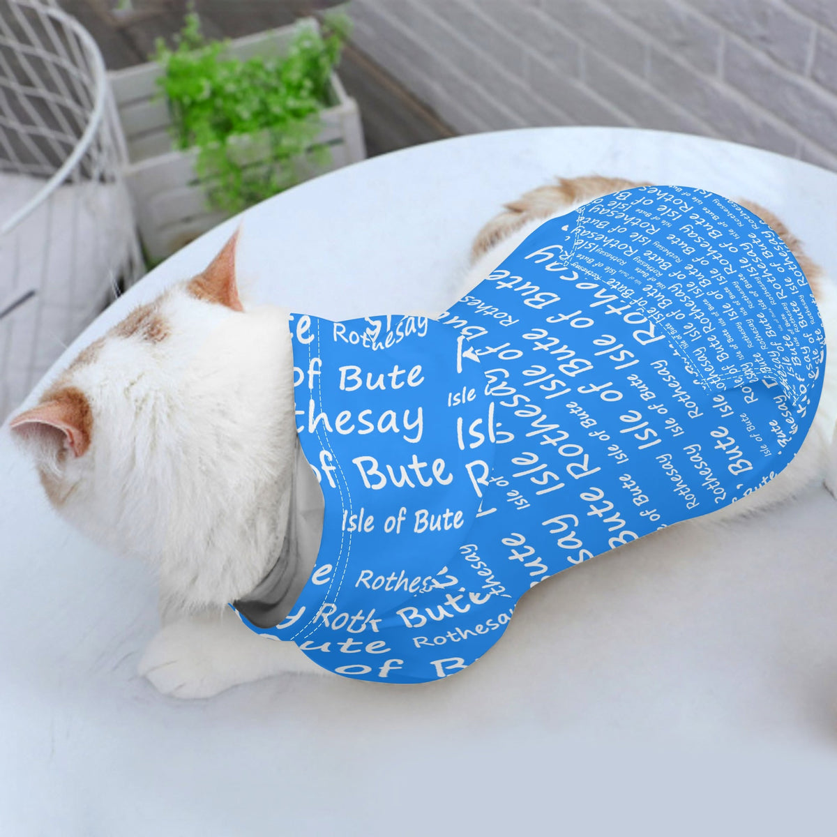 Isle of Bute - 4 Legs Outfit Pet Pullover Small/Med Hood*e - Free p&p Worldwide
