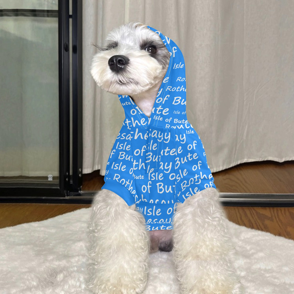 Isle of Bute - 4 Legs Outfit Pet Pullover Small/Med Hood*e - Free p&p Worldwide