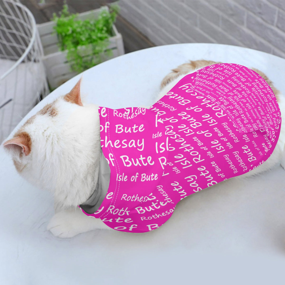 Isle of Bute - 4 Legs Outfit Pet Pullover Small/Med Hood*e - Free p&p Worldwide