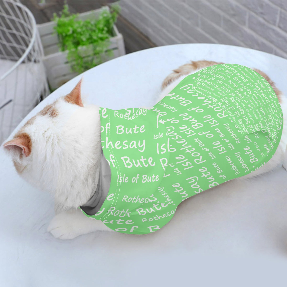 Isle of Bute - 4 Legs Outfit Pet Pullover Small/Med Hood*e - Free p&p Worldwide
