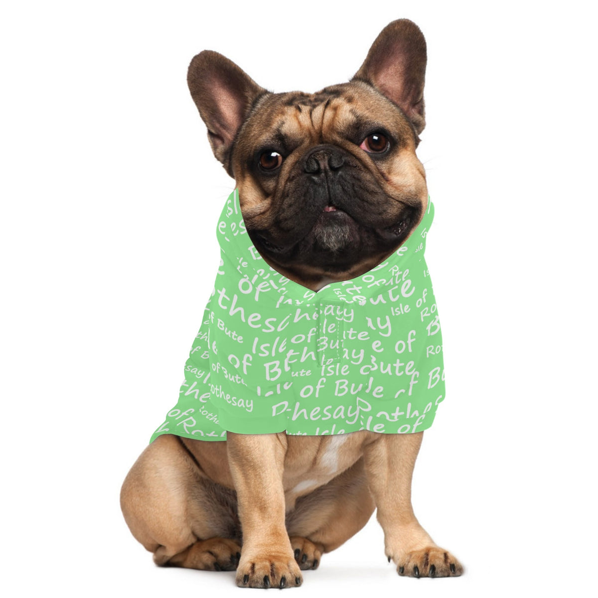 Isle of Bute - 4 Legs Outfit Pet Pullover Small/Med Hood*e - Free p&p Worldwide