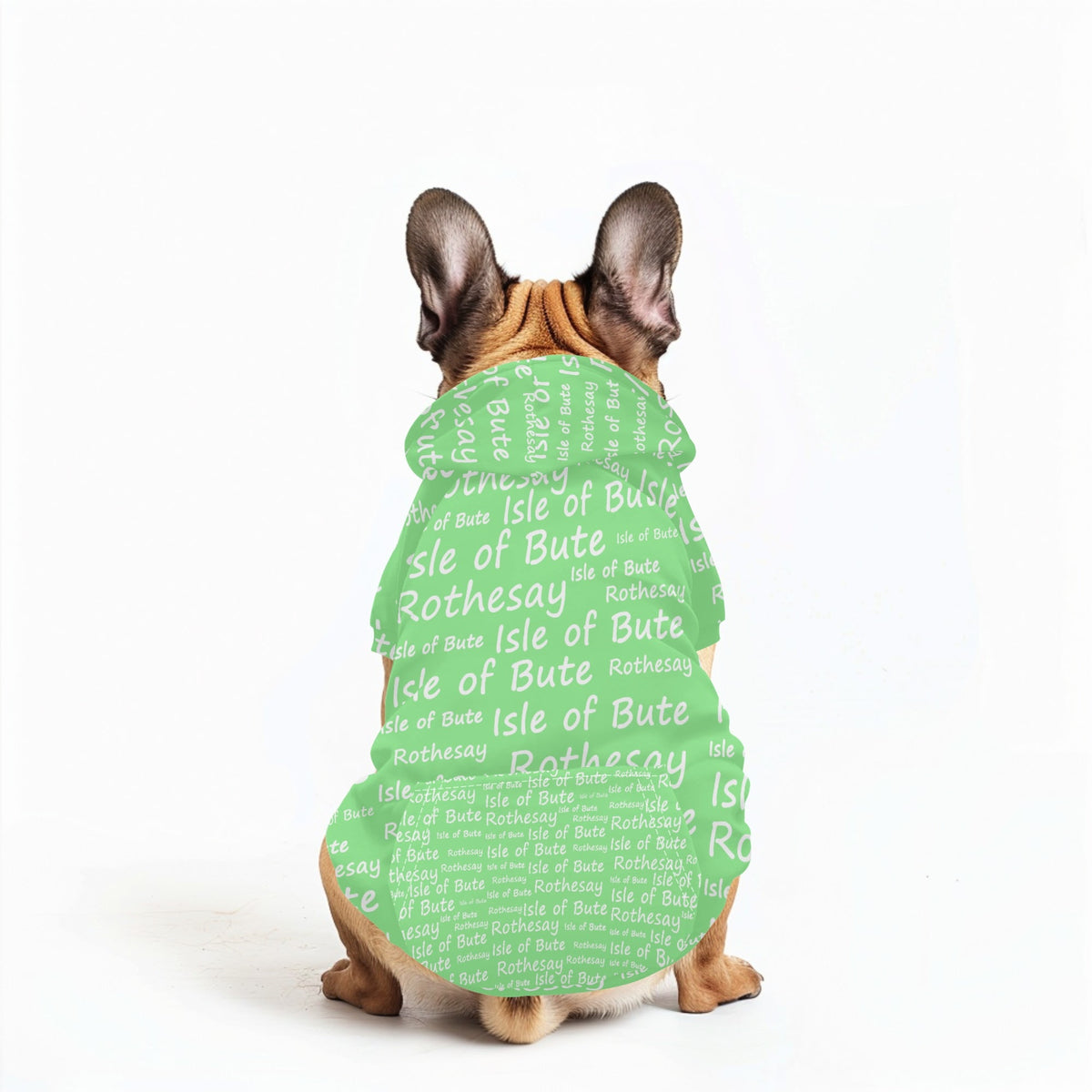 Isle of Bute - 4 Legs Outfit Pet Pullover Small/Med Hood*e - Free p&p Worldwide