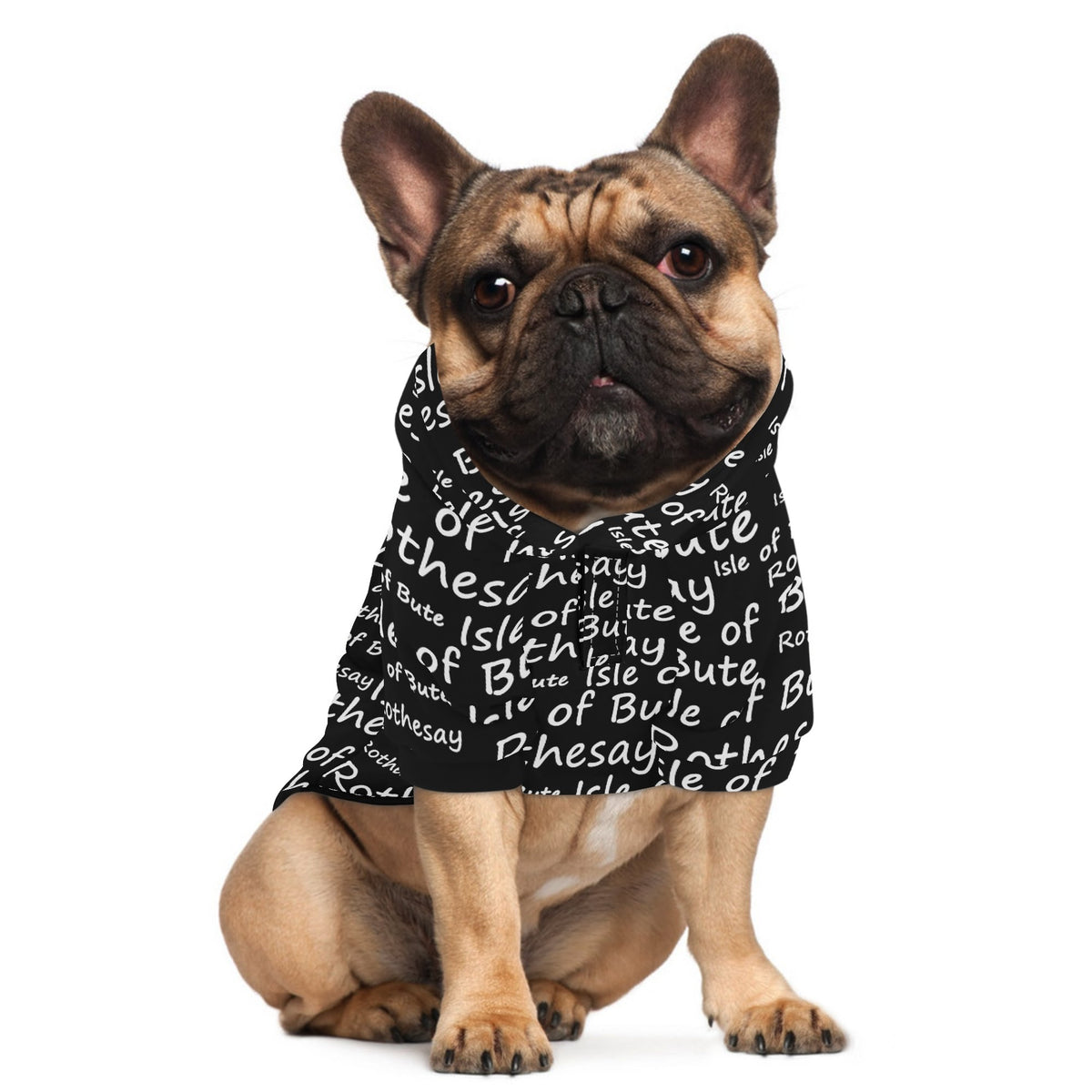 Isle of Bute - 4 Legs Outfit Pet Pullover Small/Med Hood*e - Free p&p Worldwide