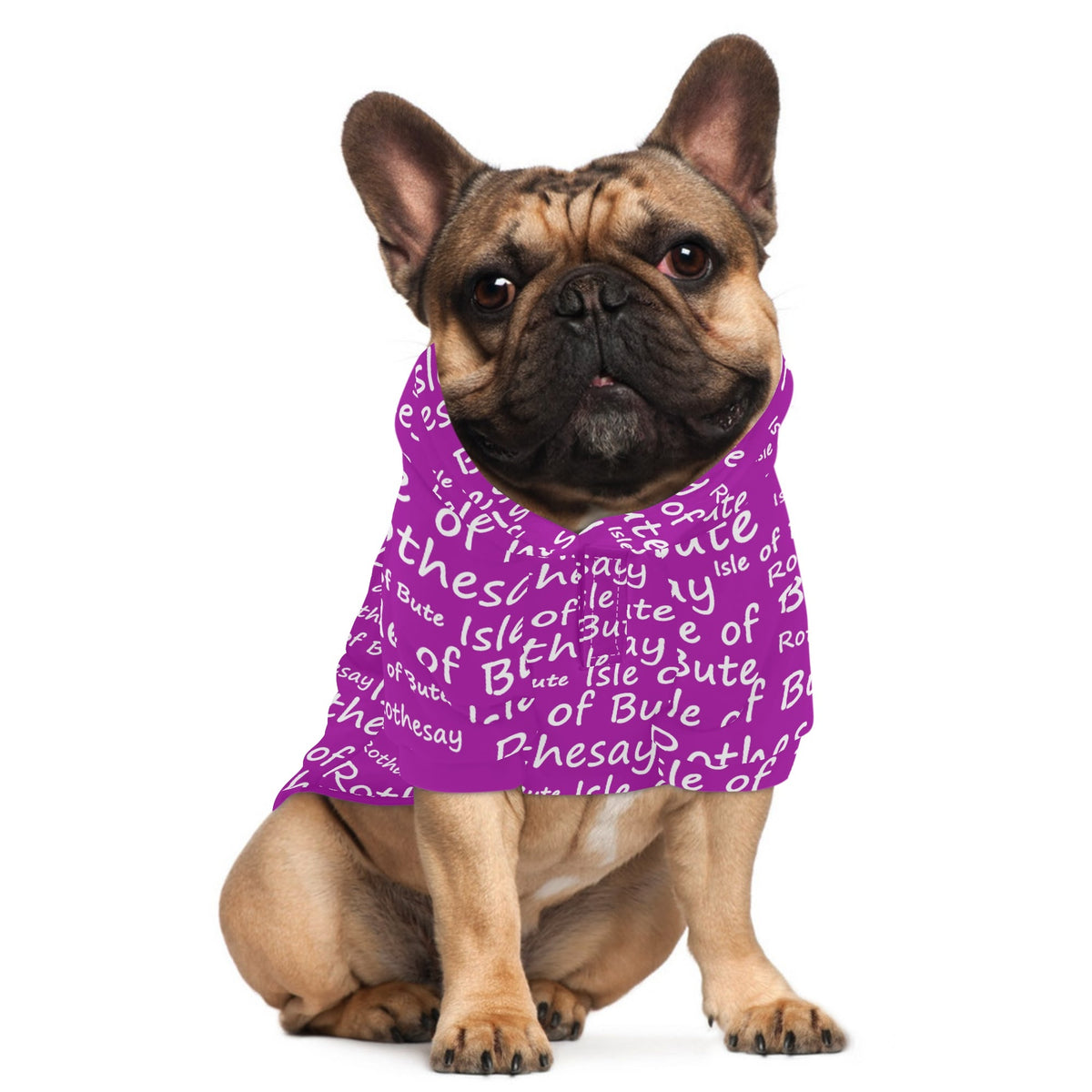 Isle of Bute - 4 Legs Outfit Pet Pullover Small/Med Hood*e - Free p&p Worldwide