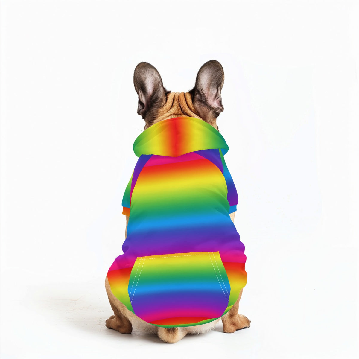 Isle of Bute - 4 Legs Outfit Pet Pullover Small/Med Hood*e - Free p&p Worldwide