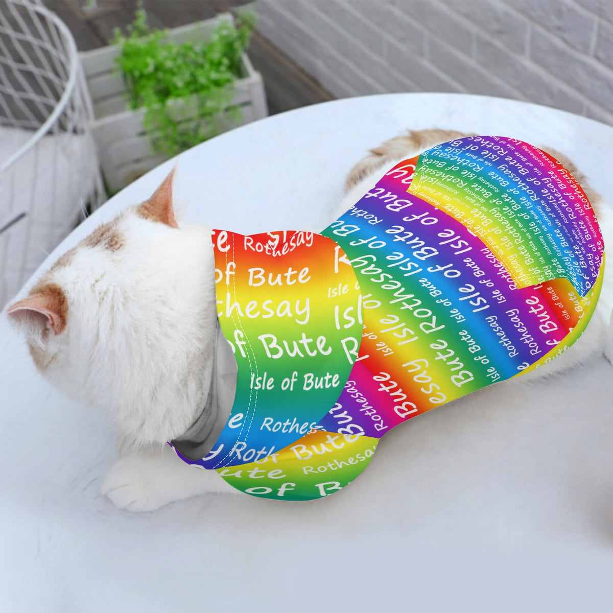 Isle of Bute - 4 Legs Outfit Pet Pullover Small/Med Hood*e - Free p&p Worldwide
