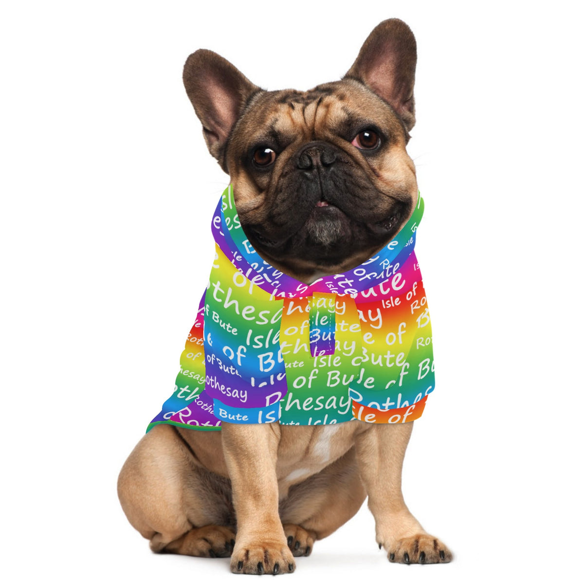 Isle of Bute - 4 Legs Outfit Pet Pullover Small/Med Hood*e - Free p&p Worldwide