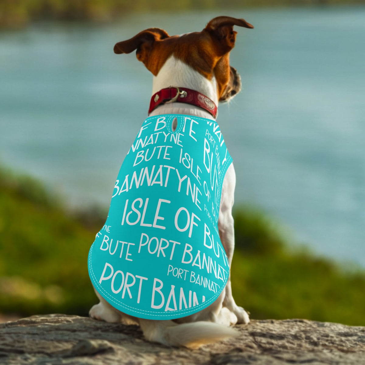Isle of Bute - Animal Shirt Clothing for Small/Medium Dogs Cats - Free p&p Worldwide
