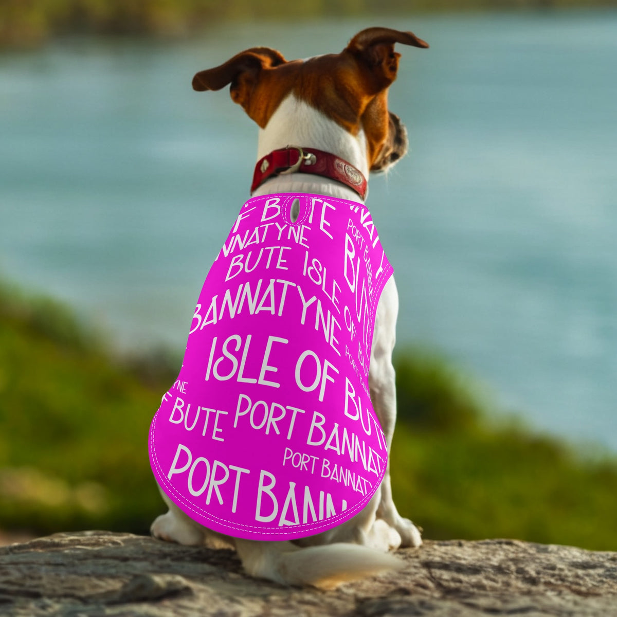 Isle of Bute - Animal Shirt Clothing for Small/Medium Dogs Cats - Free p&p Worldwide