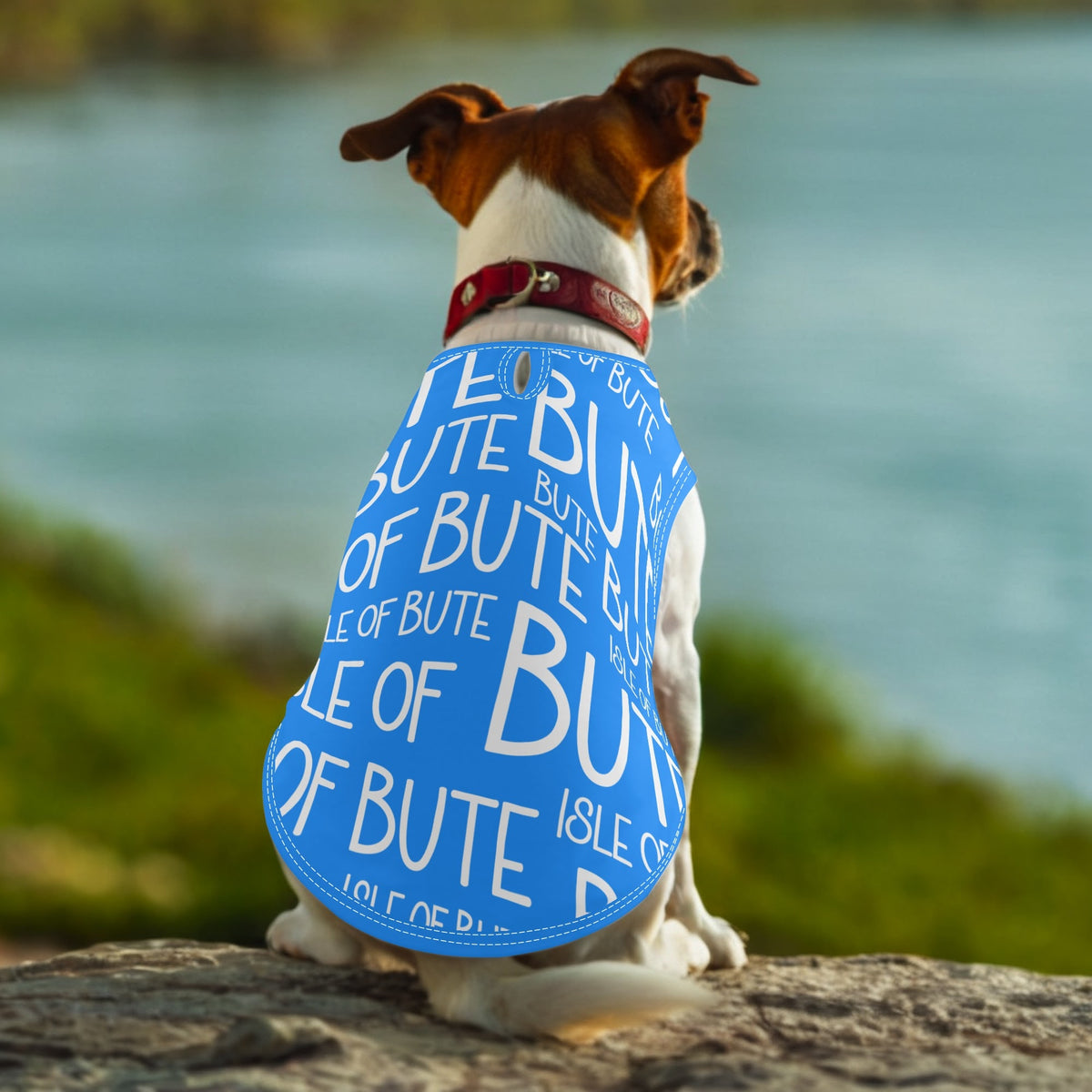 Isle of Bute - Animal Shirt Clothing for Small/Medium Dogs Cats - Free p&p Worldwide