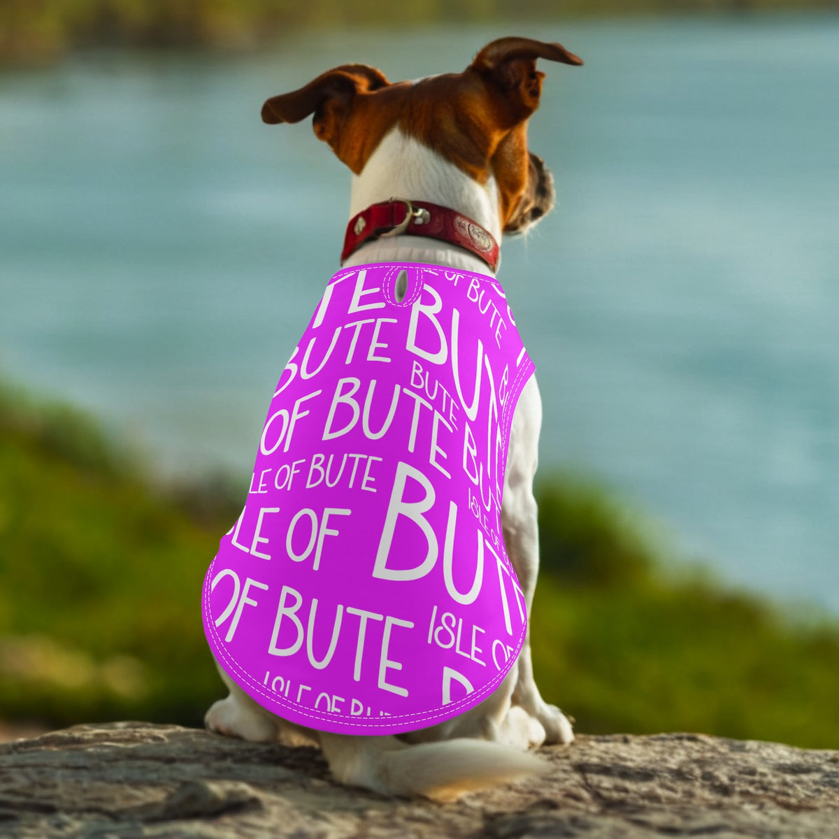 Isle of Bute - Animal Shirt Clothing for Small/Medium Dogs Cats - Free p&p Worldwide