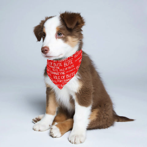 Isle of Bute - Pet Adjustable neckerchief  for Dogs Cats - Free p&p Worldwide