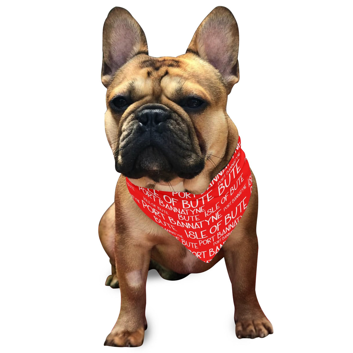 Isle of Bute - Pet neckerchief - Free p&p Worldwide