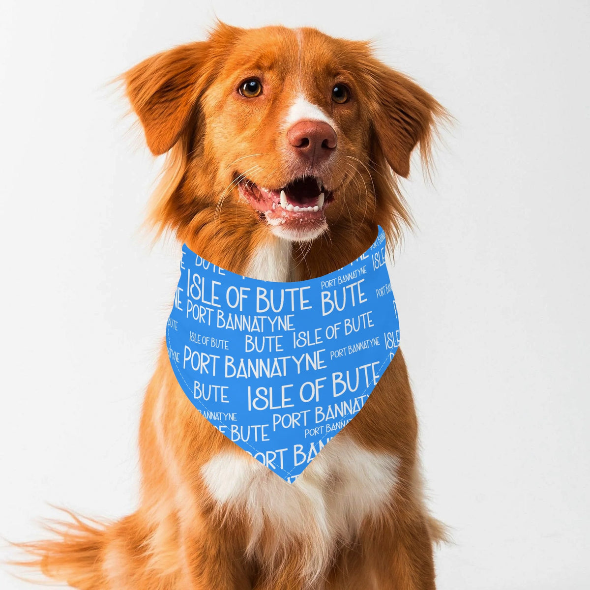 Isle of Bute - Pet neckerchief - Free p&p Worldwide