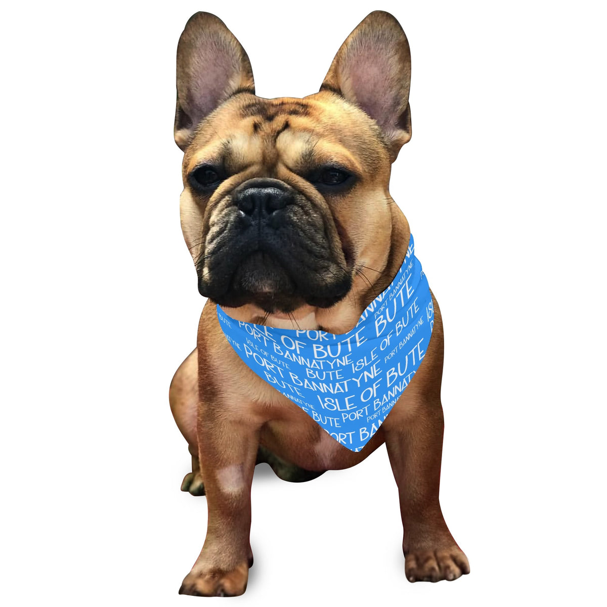 Isle of Bute - Pet neckerchief - Free p&p Worldwide