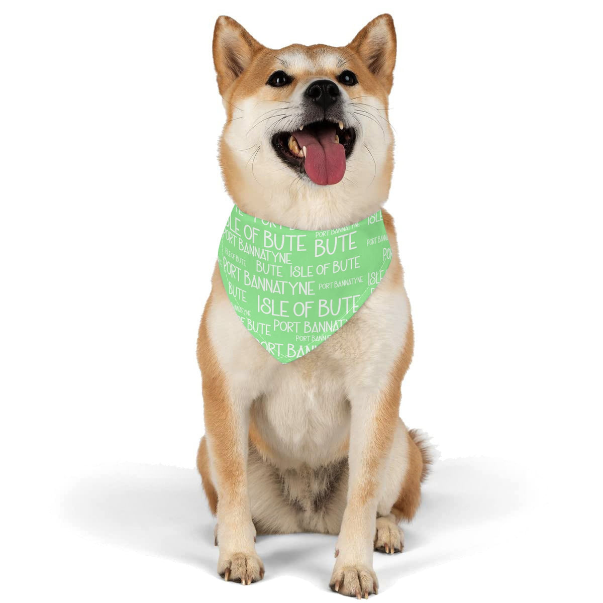 Isle of Bute - Pet neckerchief - Free p&p Worldwide