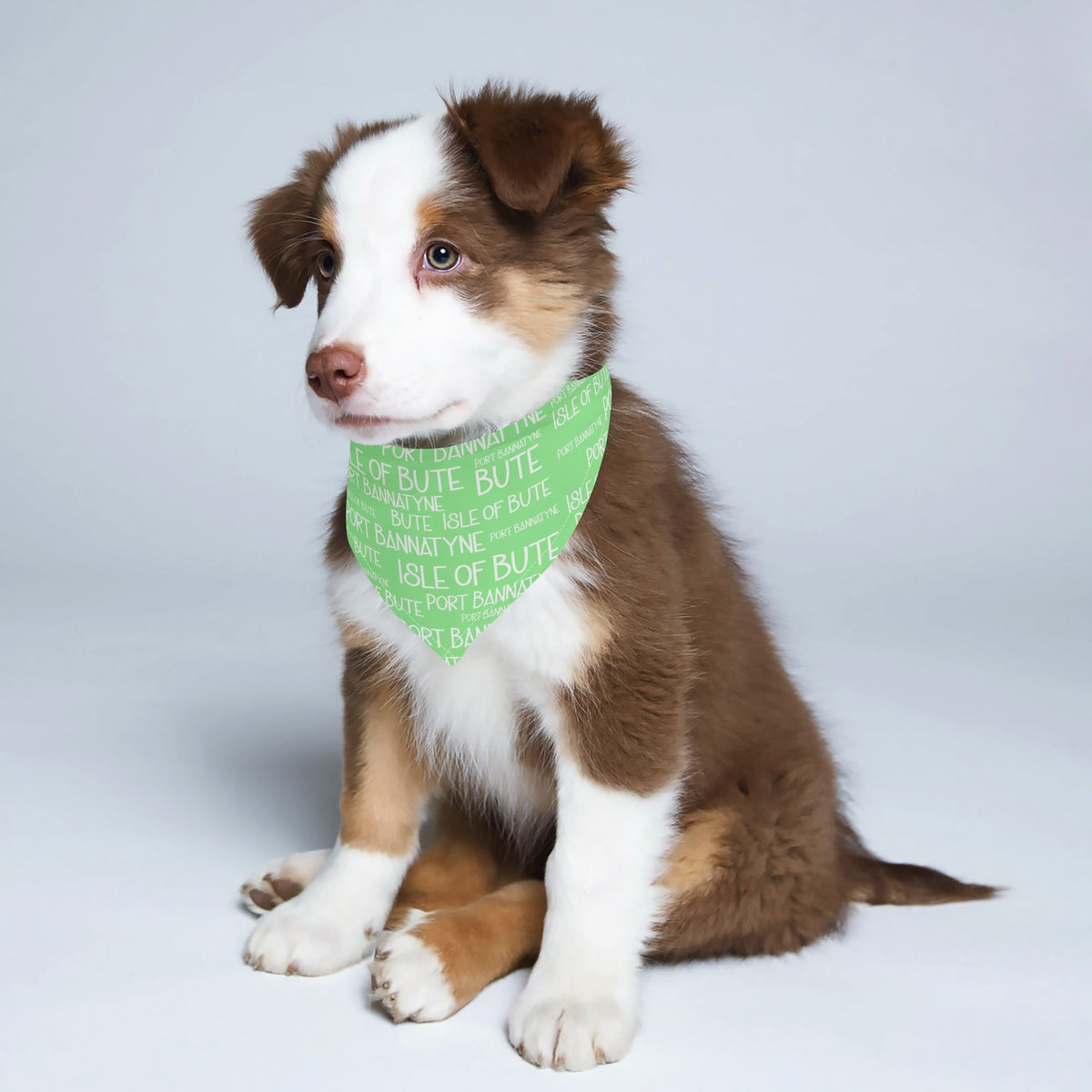 Isle of Bute - Pet neckerchief - Free p&p Worldwide