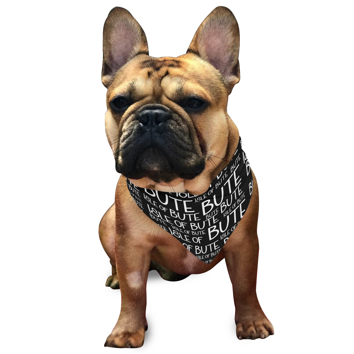 Isle of Bute - Pet neckerchief - Free p&p Worldwide