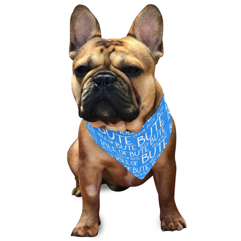 Isle of Bute - Pet Adjustable neckerchief  for Dogs Cats - Free p&p Worldwide