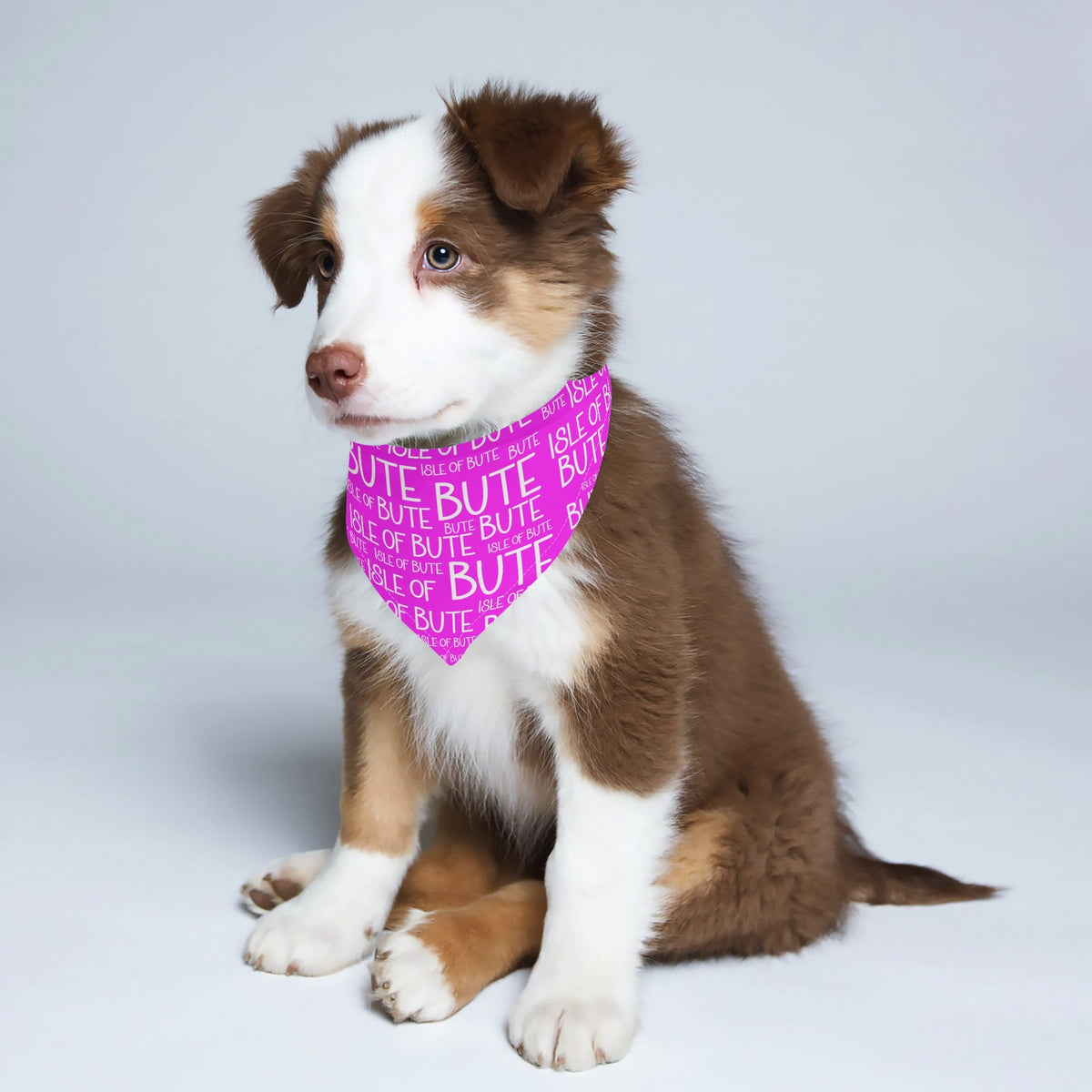 Isle of Bute - Pet neckerchief - Free p&p Worldwide