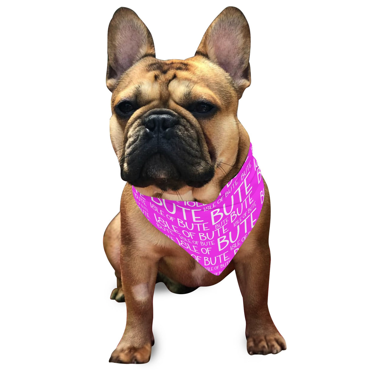 Isle of Bute - Pet neckerchief - Free p&p Worldwide