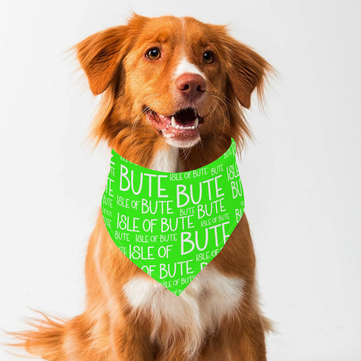 Isle of Bute - Pet neckerchief - Free p&p Worldwide