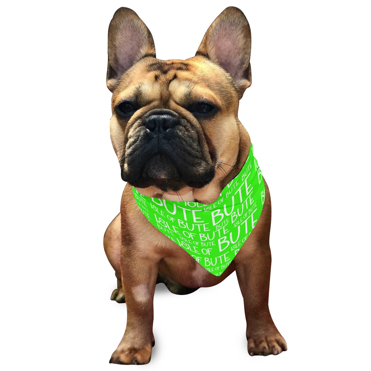 Isle of Bute - Pet neckerchief - Free p&p Worldwide
